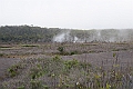 IMG_3282