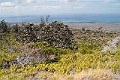 IMG_3409
