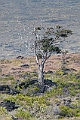IMG_3419