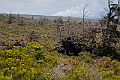 IMG_3422