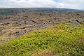 IMG_3441