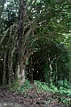 IMG_3510