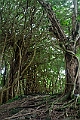 IMG_3511
