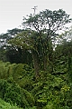 IMG_3525