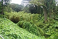 IMG_3527