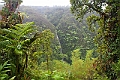 IMG_3533