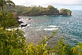 IMG_3537