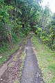 IMG_3545