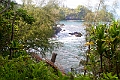 IMG_3547