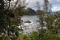 IMG_3554