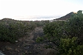 IMG_3557