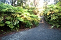 IMG_3564