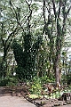 IMG_3574