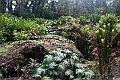 IMG_3575