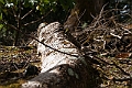 IMG_3579