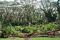 IMG_3582