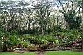 IMG_3585