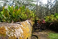 IMG_3588