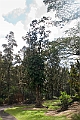 IMG_3589