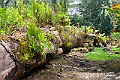 IMG_3591