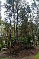 IMG_3595
