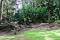 IMG_3597