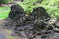 IMG_3605