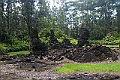 IMG_3612