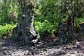 IMG_3617
