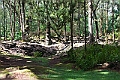 IMG_3624