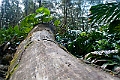 IMG_3636