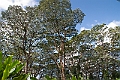 IMG_3637