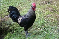 IMG_3647