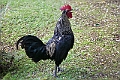 IMG_3649