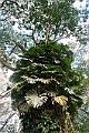 IMG_3654