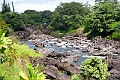 IMG_3665