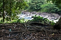 IMG_3667