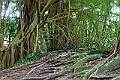 IMG_3669