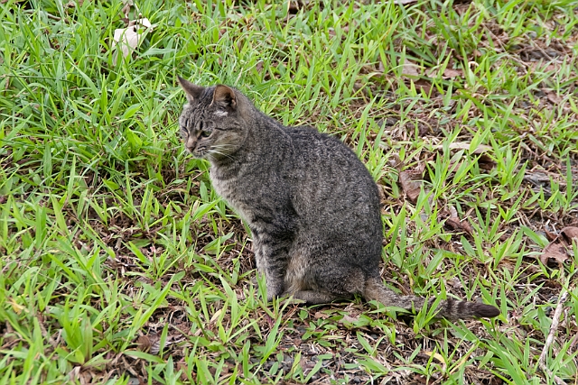 IMG_3879.jpg