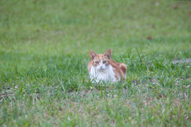 IMG_3941.jpg