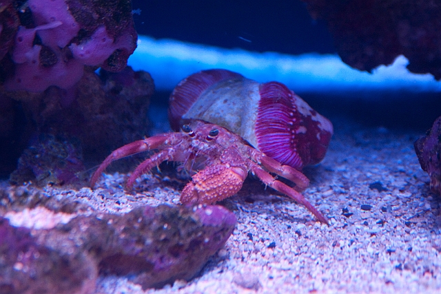 IMG_4115.jpg