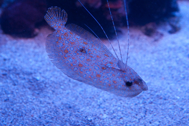 IMG_4153.jpg