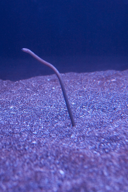 IMG_4158.jpg