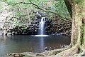 IMG_3722