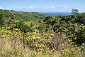 IMG_3728