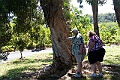 IMG_3752