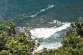 IMG_3781
