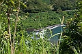 IMG_3793