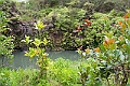 IMG_3875