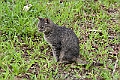IMG_3879